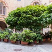  Sproing Pics (86/123)